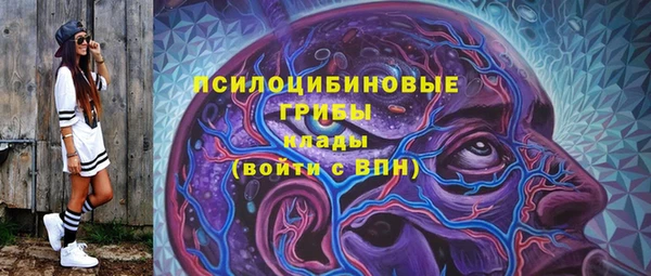 крисы Галич
