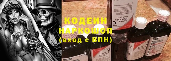 apvp Бородино
