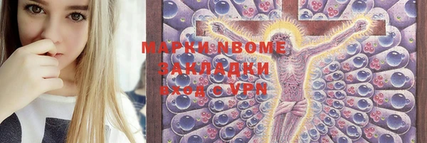 apvp Бородино